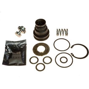 PURGE VALVE KIT