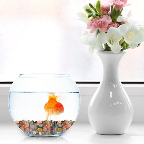 Colorful Agate Stones Mixed Natural Tumbled Stone 0.3"-0.5" Polished Pebble Beads for Vase Fillers, Landscape Decoration, Crystal Healing (24 Ounce) in Kuwait