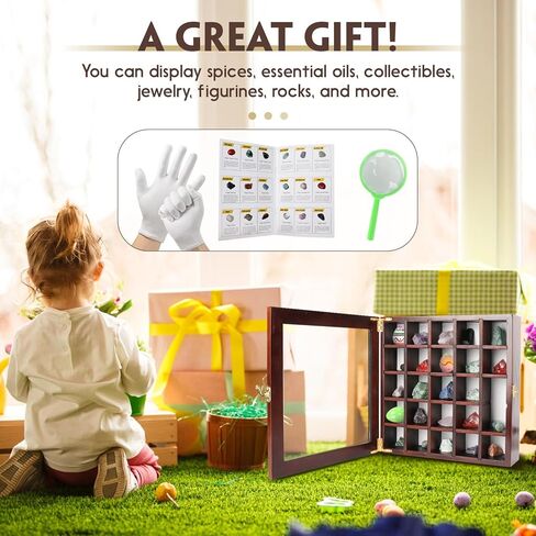 Rock Collections Box for Kids - Shadow Box Display Cases with Door - Rock Display case for Collectibles - Rock Collection Storage - Display Shelf for Collectibles in Kuwait