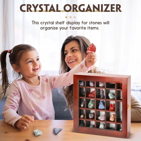 Rock Collections Box for Kids - Shadow Box Display Cases with Door - Rock Display case for Collectibles - Rock Collection Storage - Display Shelf for Collectibles in Kuwait