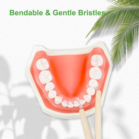 فرش الخيزران بين الأسنان، مقبض صديق للبيئة وقابل للتحلل، منظف بين الأسنان قابل للتحلل الحيوي، عدد 16 in Kuwait