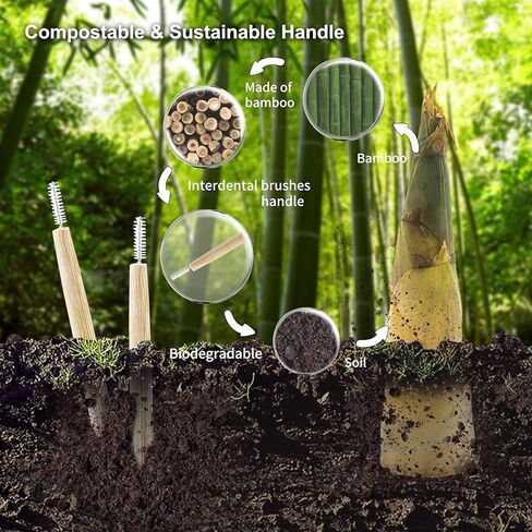 فرش الخيزران بين الأسنان، مقبض صديق للبيئة وقابل للتحلل، منظف بين الأسنان قابل للتحلل الحيوي، عدد 16 in Kuwait