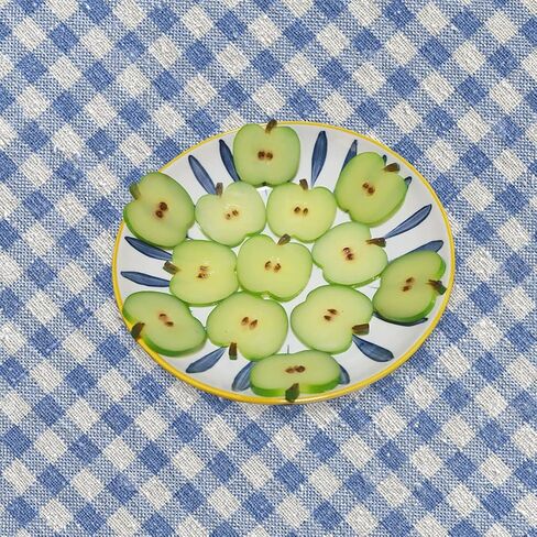 9pcs Artificial Apples Slices Fake Fruit Plastic Home House Kitchen Decoration Photography Props Party Faux Model Festival Office Tabletop Decor in Saudi Arabia