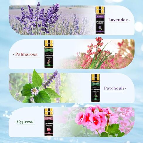 Summer Essential Oils Set - Fragrance Oil for Diffuser, Humidifier, Aromatherapy, Candle Making - in Saudi Arabia