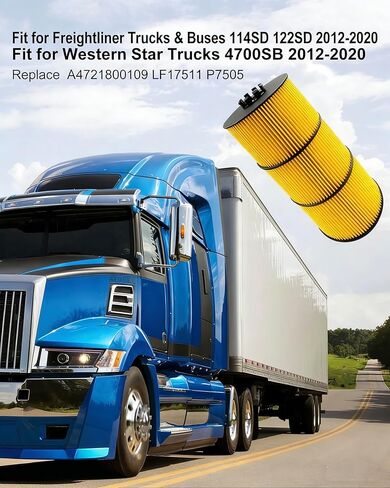فلتر زيت التشحيم مناسب لشاحنات وحافلات الشحن 114SD 122SD Cascadia L6 Western Star 4700SB 4900FA محرك الديزل ديترويت 2007-2020 استبدال P7505 P551005 57909 LF17511 LF17474 A4721800509 E510H04D129 in Kuwait