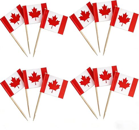 100 Pcs Mexico Flag Toothpicks, Cocktail Picks Mini Stick, Cupcake Toppers Flag Picks, Mini Flags on Sticks for World Cup, Country Pick Party Decoration for Cupcakes, Cocktails, Food in Saudi Arabia