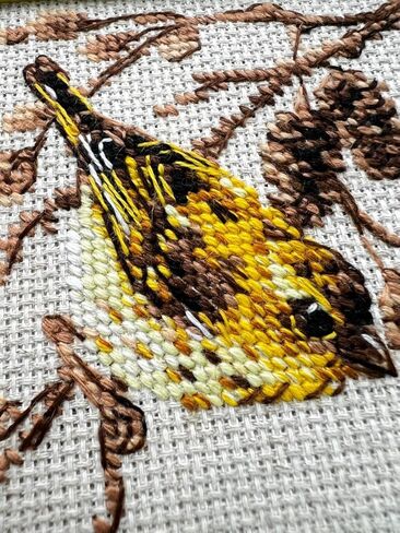 RIOLIS - Siskin 2329، مجموعات غرز متقاطعة للحيوانات مقاس 10.16 سم × 10.16 سم للمبتدئين والمتقدمين، طقم خياطة متقاطعة للبالغين، طقم تطريز طبيعي in Kuwait