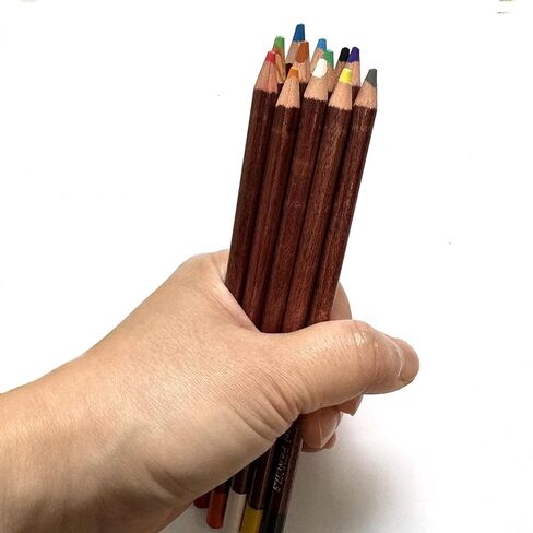 12 قلم رصاص باستيل ملون لجميع مستويات المهارة، سهل الاستخدام، فعال من حيث التكلفة، سريع الإضاءة وتغطية الألوان ممتازة in Kuwait