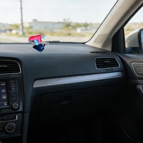 Witch and Wizard Broomstick Dashboard Drift Ornaments,Harry Potter Dashboard Decorations Multicolor Fun Fantasy Turn Mini Dynamic Automotive Interior Accessories Gift for Car Enthusiasts (B) in Kuwait