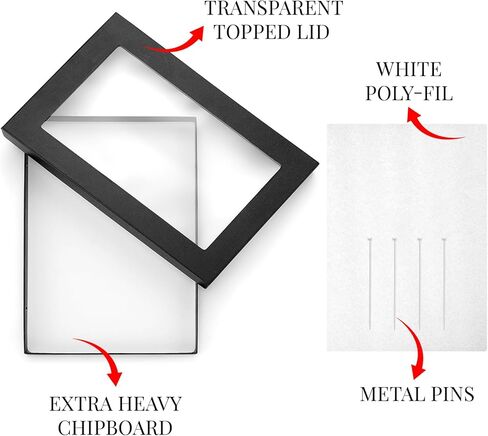Landical 3 Pack Riker Display Cases Large Collectibles Display Cases Transparent Top for Collectibles Jewelry Pins (12 x 8 x 0.98 Inch) in Kuwait