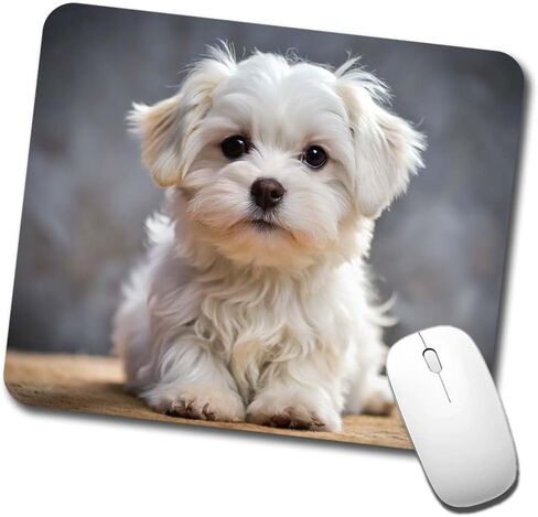 Maltese Dog Puppy Photo Low Profile Mouse Pad Mat in Kuwait
