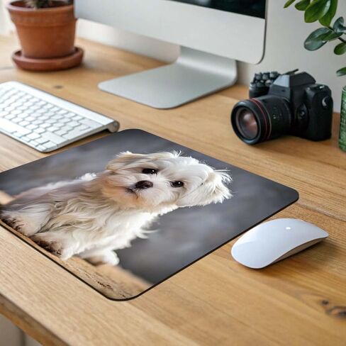 Maltese Dog Puppy Photo Low Profile Mouse Pad Mat in Kuwait