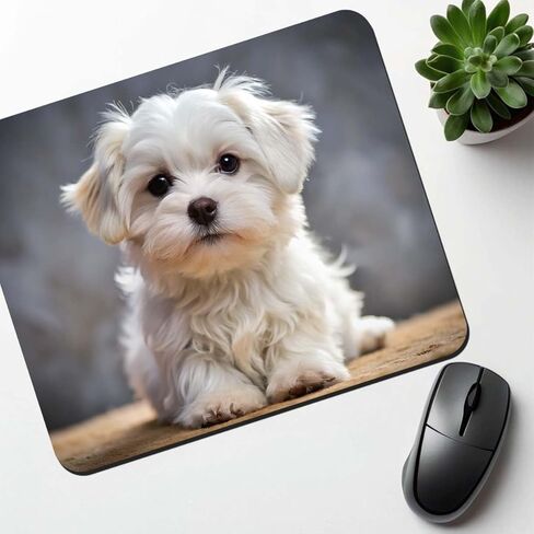 Maltese Dog Puppy Photo Low Profile Mouse Pad Mat in Kuwait