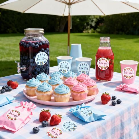 80Pcs Berry Sweet Gender Reveal Stickers Strawberry Blueberry Baby Shower Stickers Berry Team Boy Team Girl Gender Reveal Decorations Blue Pink for Baby Girl Boy Gender Reveal Baby Shower Party Favors in Saudi Arabia