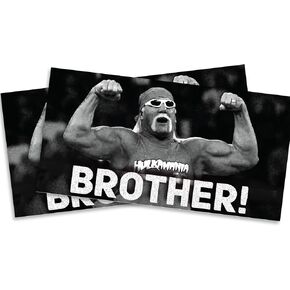 Brother! RIP H Hogan Magnet - 2 Pack Magnets - Wrestling Mania Wrestlefest Fan Superstar Remembrance Real American - 5 Inches for Car Truck Waterbottle Laptop Locker Decor - EPLM0131 in Saudi Arabia