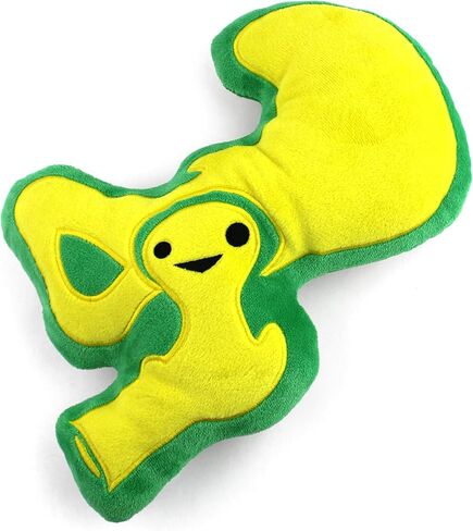 I Heart Guts Hip Plush - 10" Cute Educational Joint Toy for Hip Replacement Surgery Recovery - Funny Get Well Gift for Nurse Patients & Medical Student STEM Anatomy Plushie in Kuwait