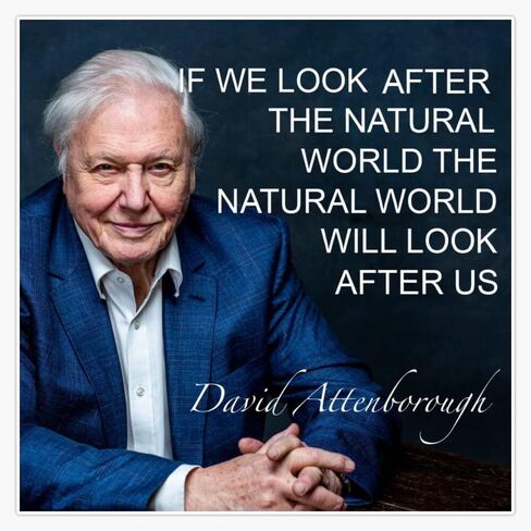 ملصق مغناطيسي مغناطيسي من الفينيل مقاس 5 بوصة من MAGNET David Attenborough in Kuwait