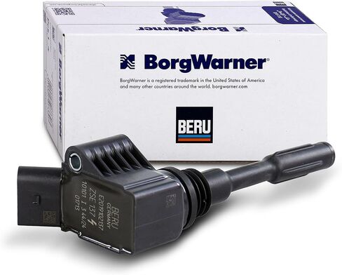 BERU ZSE137 Ignition and Heating System in Saudi Arabia