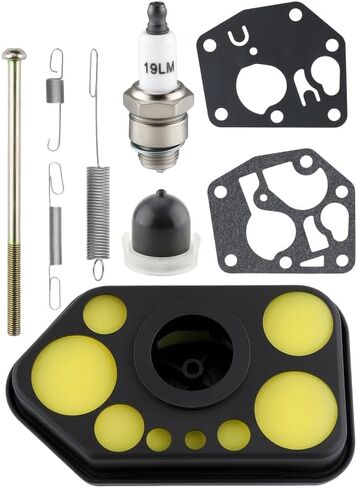 795477 Carburetor for 795469 794161 794147 699660 498809 498809A 498811 497619 with 494406 Fuel Tank 493492 Air Cleaner Kit in Kuwait