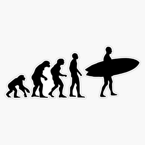 Surf Evolution Vinyl Sticker Waterproof Decal Laptop Wall Window Bumper Sticker 5" in Saudi Arabia