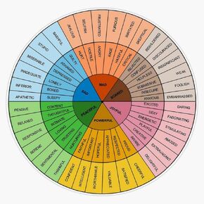 Magnet Wheel of Emotions Magnetic Vinyl Sticker 5" in Kuwait