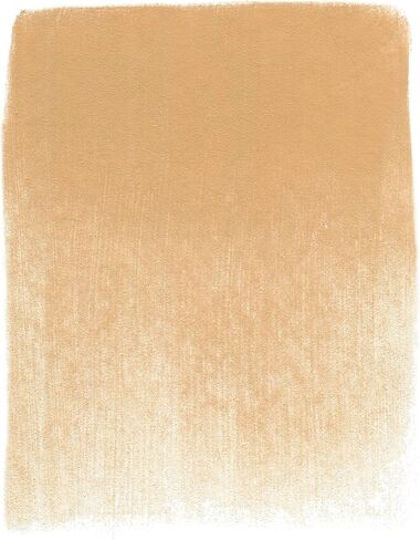 PanPastel Artist Pastels من GOLDEN، خام سيينا لايت، قطر المقلاة 2.44 بوصة / 62 مم، ألوان باستيل للفنانين المحترفين، شكل مقلاة فريد (يشبه الكعكة) in Kuwait