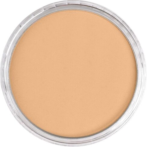 PanPastel Artist Pastels من GOLDEN، خام سيينا لايت، قطر المقلاة 2.44 بوصة / 62 مم، ألوان باستيل للفنانين المحترفين، شكل مقلاة فريد (يشبه الكعكة) in Kuwait