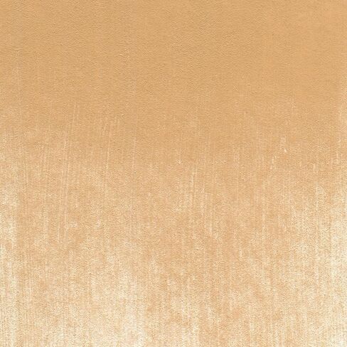 PanPastel Artist Pastels من GOLDEN، خام سيينا لايت، قطر المقلاة 2.44 بوصة / 62 مم، ألوان باستيل للفنانين المحترفين، شكل مقلاة فريد (يشبه الكعكة) in Kuwait