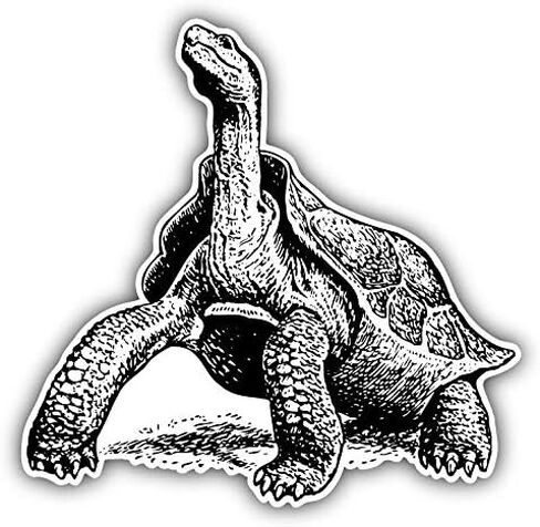 Magnet Giant Turtle Sketch Flexible Vinyl Magnet Waterproof Car Magnetic Bumper Sticker 5" in Saudi Arabia