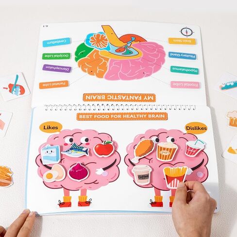 Human Body Busy Books for Kids 4 5 6 7 8 Years, Anatomy Montessory Book for Toddlers, Preshool Kindergarten Learning Activities, Home, Classrooms, Autism Sensory Toys in Saudi Arabia