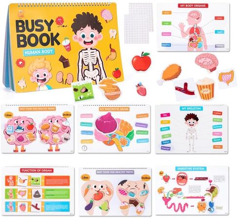 Human Body Busy Books for Kids 4 5 6 7 8 Years, Anatomy Montessory Book for Toddlers, Preshool Kindergarten Learning Activities, Home, Classrooms, Autism Sensory Toys in Saudi Arabia