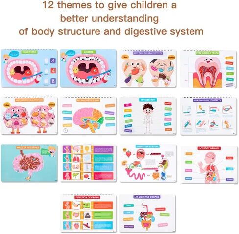 Human Body Busy Books for Kids 4 5 6 7 8 Years, Anatomy Montessory Book for Toddlers, Preshool Kindergarten Learning Activities, Home, Classrooms, Autism Sensory Toys in Saudi Arabia