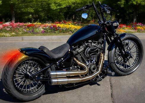 الحاجز الخلفي للدراجة النارية مع ضوء LED إشارات الانعطاف طقم إضاءة الفرامل مناسب لـ Harley Softail 2018-2025 in Kuwait