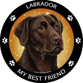 Chocolate Labrador My Best Friend Magnet in Saudi Arabia