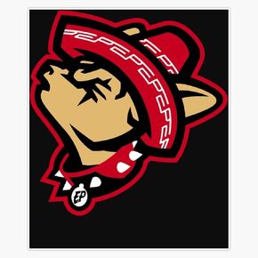 El-paso-Chihuahuas Magnetic Reusable Bumper Vinyl Sticker 5" in Saudi Arabia