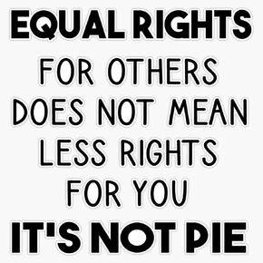 Magnet Equal Rights for Others Does not Mean Less Rights for You It's not Pie Magnetic Vinyl Sticker 5" in Kuwait
