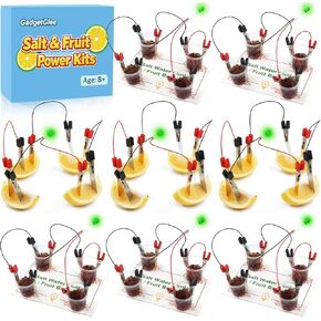 Fruit Saltwater Battery Science Circuit Kits for Kids 8-12, Bulk STEM Kit Potato Battery Lemon Light Bulb Food Experiments, Circuits for Class Electricity Projects Classroom Gifts 8 9 10 11 Year Old in Saudi Arabia
