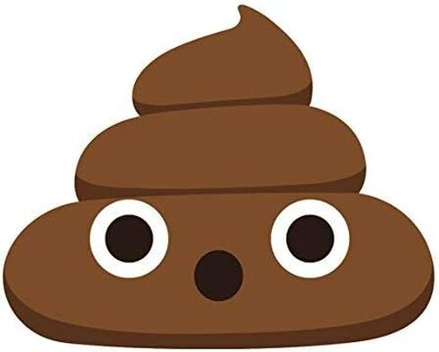 50 PCs Adorable Poop 1" Stickers Decals Laptop Notebook Phone Waterproof Vinyl Trendy in Kuwait