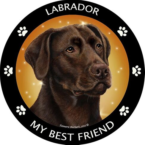 Chocolate Labrador My Best Friend Magnet in Saudi Arabia