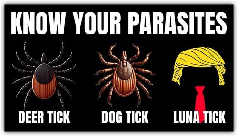 (1Pcs - 7.5x4.5 in) Know Your Parasites Luna Tick Magnet Bumper, 2025 US Political Car Magnet, Women's Rights Immigrant Vehicle Decor, Republican Democrat Gift for Family Friend Coworker in Saudi Arabia