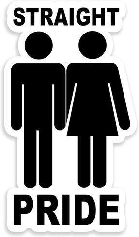 ملصق Straight Pride ملصق للكمبيوتر المحمول للسيارة مقاس 3.25 بوصة × 5.5 بوصة (ملون) in Kuwait