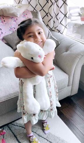 DIBSIES Personalized Hoppity Floppity Bunny 18" (Pink) in Saudi Arabia