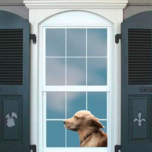Riders Golden Retriever Car Sticker Window Decal for Vehicles Dog Window Cling(for Left Side) in Saudi Arabia