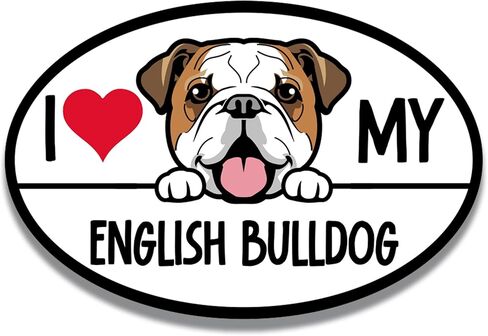 Magnet Me Up I Love My English Bulldog Dog Breed Car Magnet Decal, 4x6 Inches Oval, Decoration for Vehicle, Fridge, and More! Sweet Natured and Charming, Cute Peeking Dog Bumper Magnet, Made in USA in Kuwait