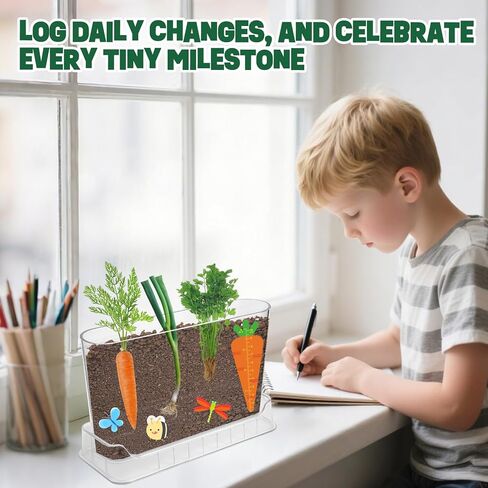 Root Viewer Kit for Kids Gardening Set with Fun Stickers & Storybook, Science STEM Toys & Craft Planting Kits for Ages 4-12 Birthday Gifts for Girls & Boys 4 5 6 7 8 Year Old in Saudi Arabia