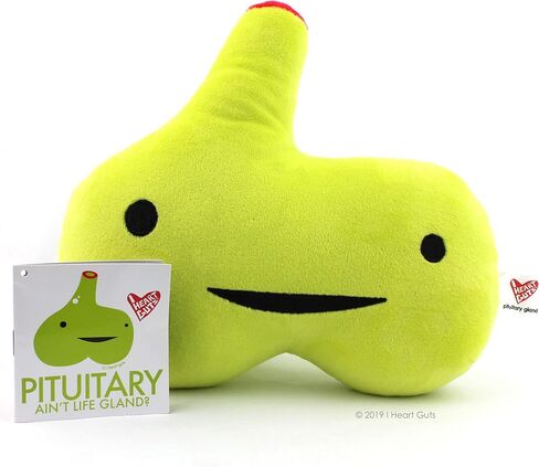 I Heart Guts Pituitary Gland Plush - 10.5" Cute Educational Organ Toy for Hormone Imbalance - Funny Get Well Gift for Nurse Patients & Medical Student STEM Anatomy Plushie in Kuwait