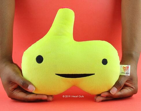 I Heart Guts Pituitary Gland Plush - 10.5" Cute Educational Organ Toy for Hormone Imbalance - Funny Get Well Gift for Nurse Patients & Medical Student STEM Anatomy Plushie in Kuwait