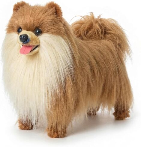 Lifelike Pomeranian Stuffed Animal - 13.8" Realistic Plush Dog Toy with Grooming Kit & Gift Box, Soft Cuddly Puppy Companion for Kids and Dog Lovers - Home Decor & Heartwarming Birthday Gift in Saudi Arabia
