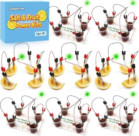 Fruit Saltwater Battery Science Circuit Kits for Kids 8-12, Bulk STEM Kit Potato Battery Lemon Light Bulb Food Experiments, Circuits for Class Electricity Projects Classroom Gifts 8 9 10 11 Year Old in Saudi Arabia