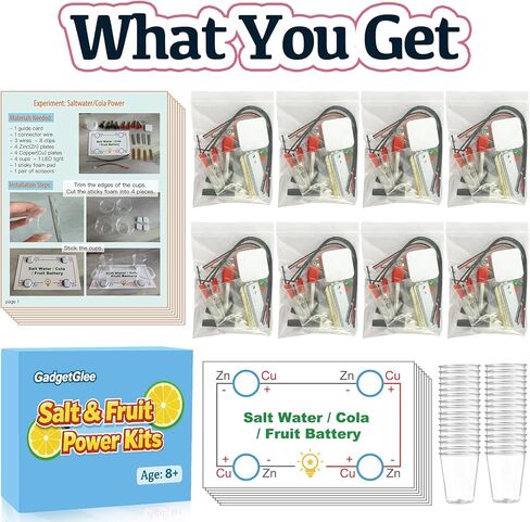 Fruit Saltwater Battery Science Circuit Kits for Kids 8-12, Bulk STEM Kit Potato Battery Lemon Light Bulb Food Experiments, Circuits for Class Electricity Projects Classroom Gifts 8 9 10 11 Year Old in Saudi Arabia